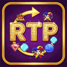 RTP_opt